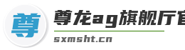 尊龙ag旗舰厅官网入口