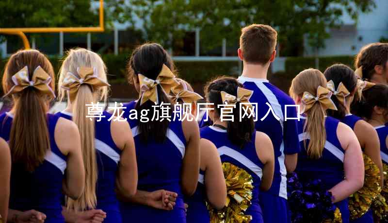 尊龙ag旗舰厅官网入口