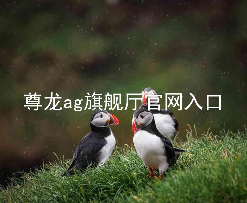 尊龙ag旗舰厅官网入口
