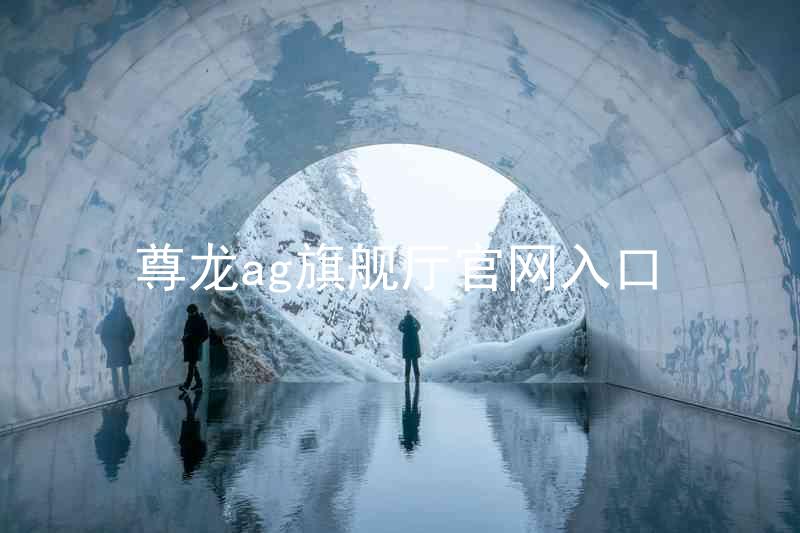 尊龙ag旗舰厅官网入口